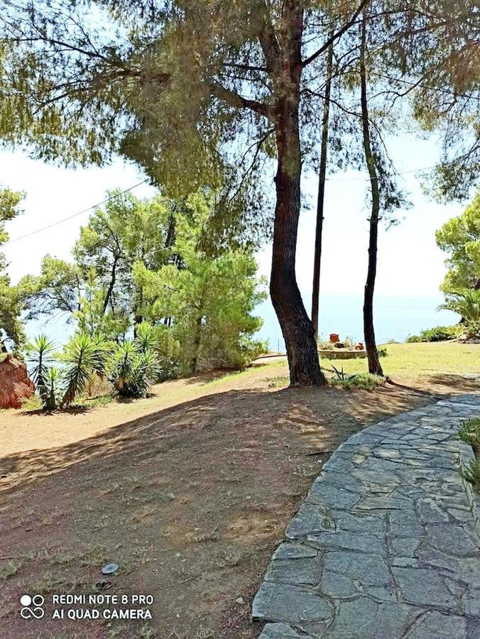 Squirrels, Home With View Metamorfosi  Exterior foto