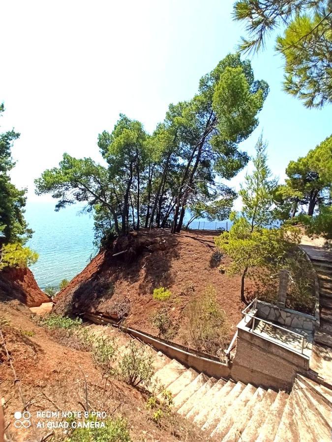 Squirrels, Home With View Metamorfosi  Exterior foto